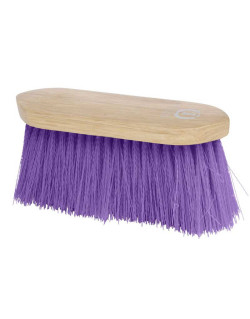 Brosse à poils durs Dandy...