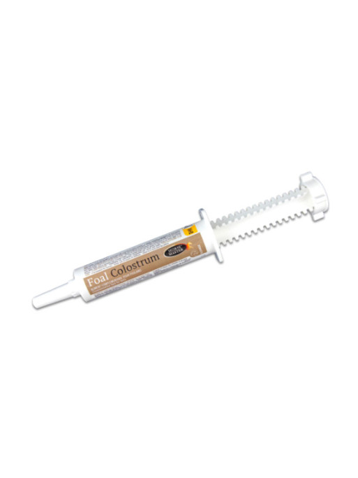 Foal colostrum Horse Master complément alimentaire