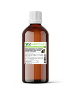 Macérat bourgeon de figuier 60ml ESC