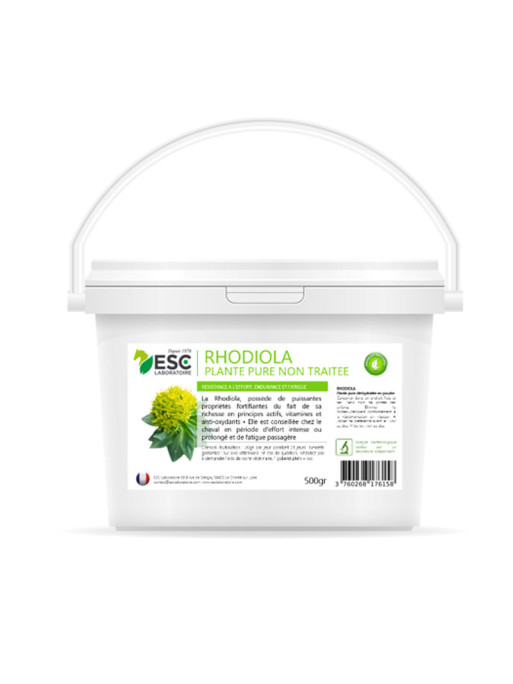 Complément alimentaire Rhodiola 500g ESC