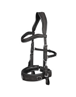 Caveçon Anatomic en cuir Waldhausen