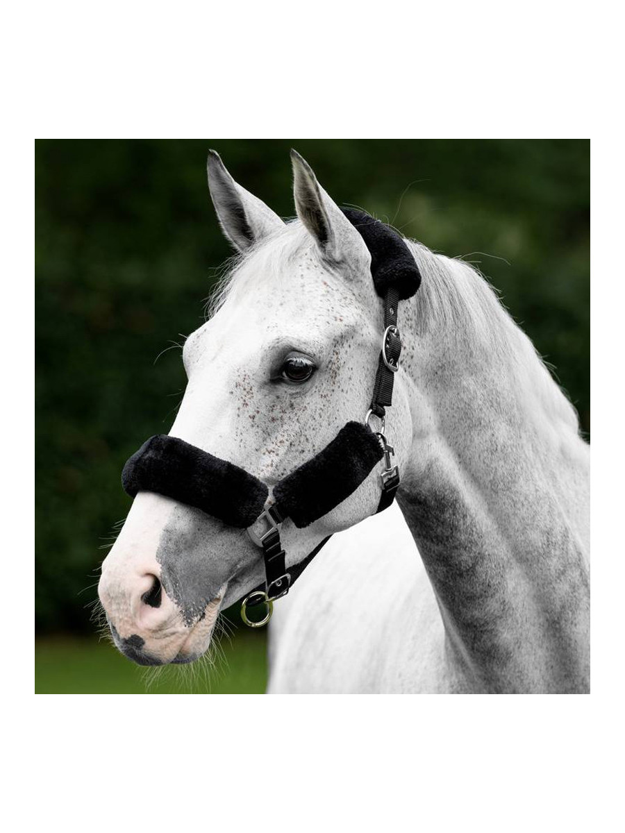 Licol Norton Confort Pour Cheval/poney - Doublure Polaire - Couleur Bordeaux - Têtière Et Muserolle Réglables