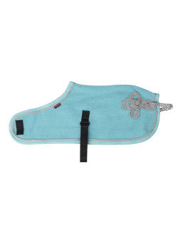 Couverture Toy Pony Lemieux