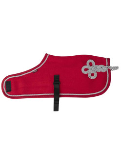 Couverture Toy Pony Lemieux