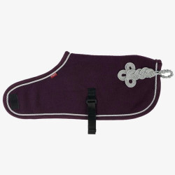 Couverture Toy Pony Lemieux