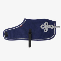 Couverture Toy Pony Lemieux