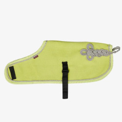 Couverture Toy Pony Lemieux