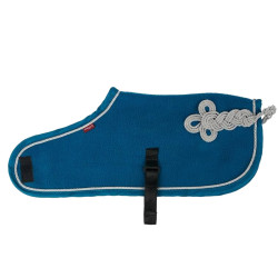 Couverture Toy Pony Lemieux