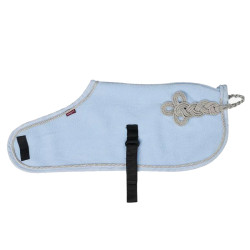 Couverture Toy Pony Lemieux