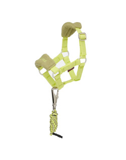 Licol vogue Toy Pony Lemieux