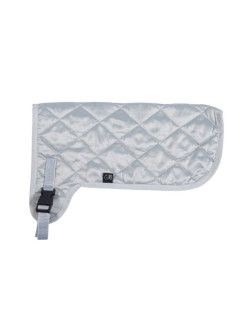 Couverture Hobby Horsing HKM