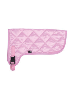 Couverture Hobby Horsing HKM
