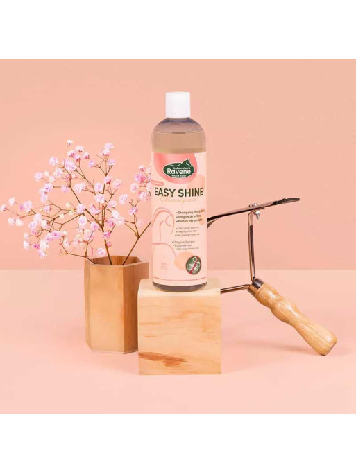 Easy Shine Shampoo 500ml Ravene Easy Shine Shampoo 500ml Ravene