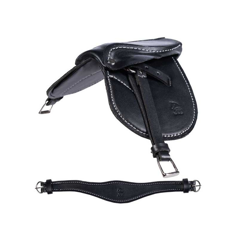 Cloture electrique complet pour chevaux en ligne