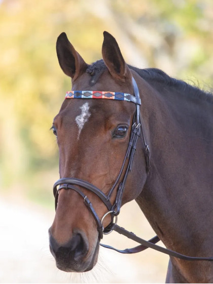 Frontal en cuir Polo