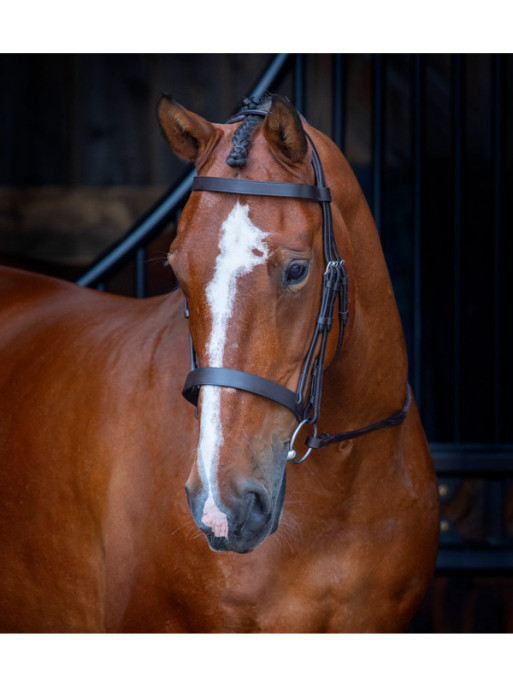 Licou En Cuir Showman – Anatomique, Taille Cheval, Couleur Havane, Cousu Main