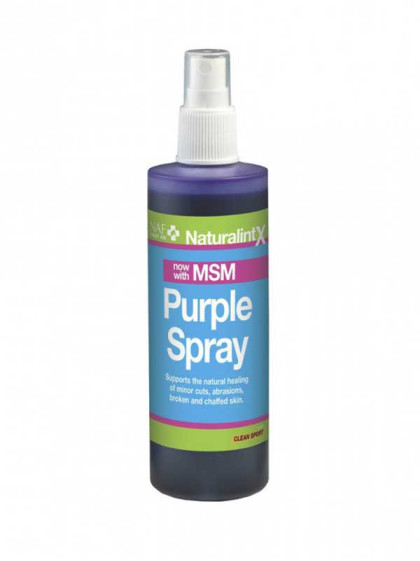 Spray cicatrisant NaturalintX 240ml NAF