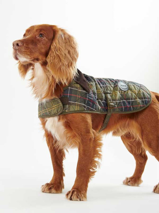 Manteau chien tartan Barbour