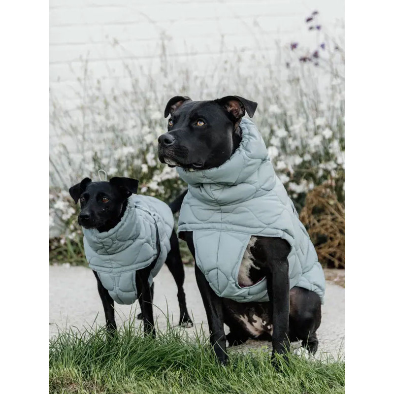 Manteau d'hiver pour chien Pina Kentucky