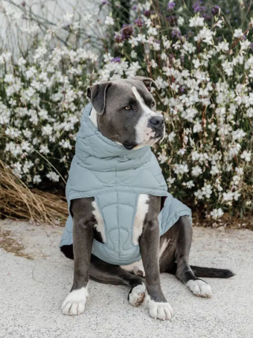 Manteau d'hiver pour chien Pina Kentucky