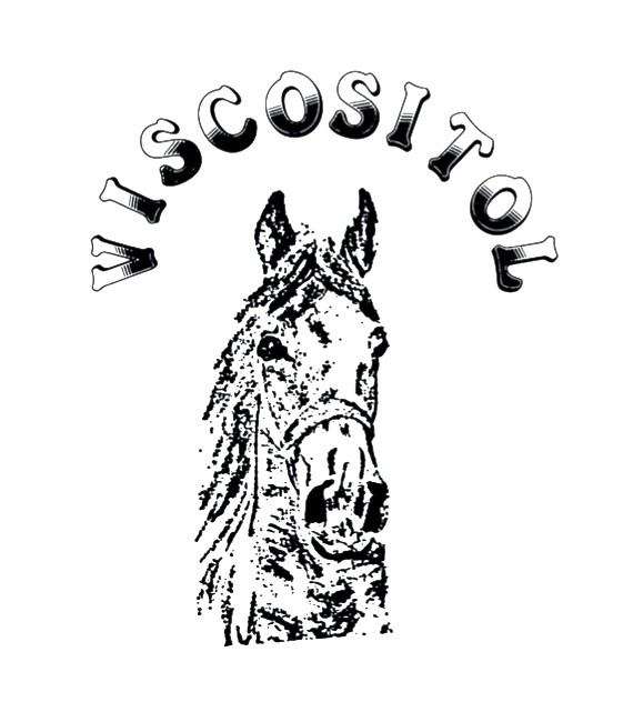 Viscositol