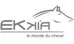 Ekkia