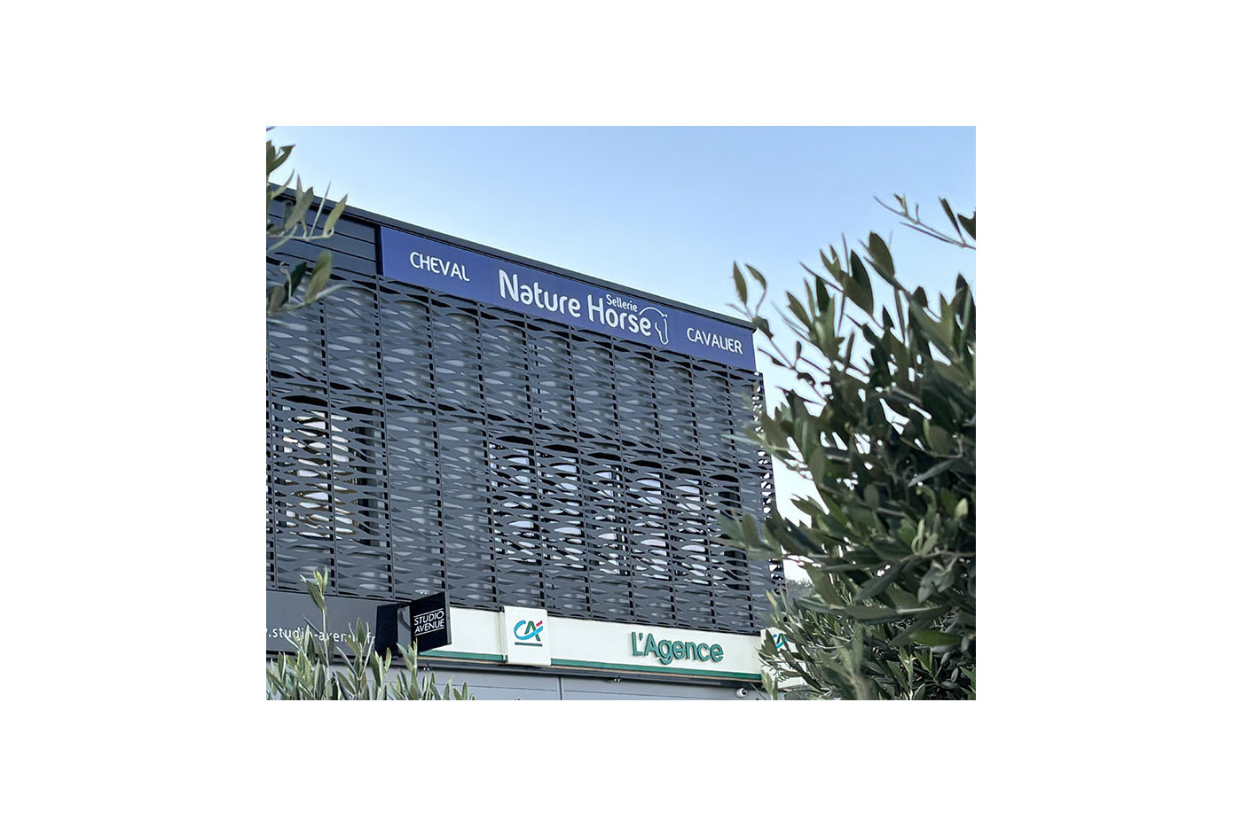 NATURE HORSE 60 | L'Oise